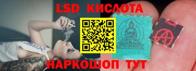 прущие грибы Свободный