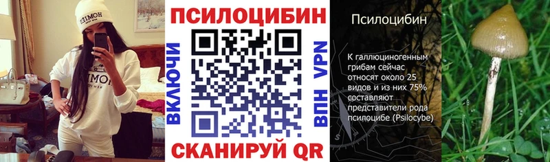 нарко площадка Telegram Дагестанские Огни Галлюциногенные грибы Cubensis