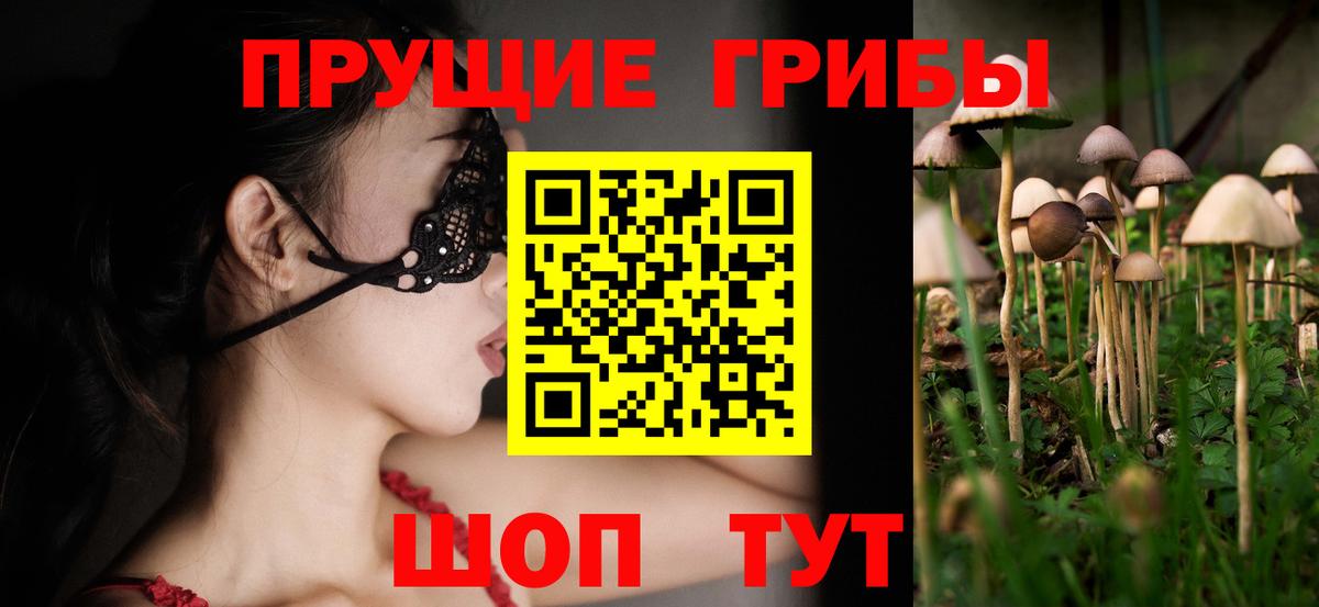 Дагестанские Огни  Псилоцибиновые грибы GOLDEN TEACHER  Вход с VPN 