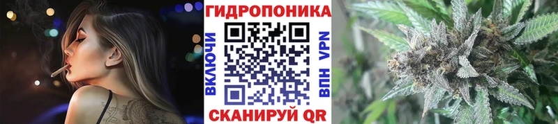 Марихуана семена Дагестанские Огни