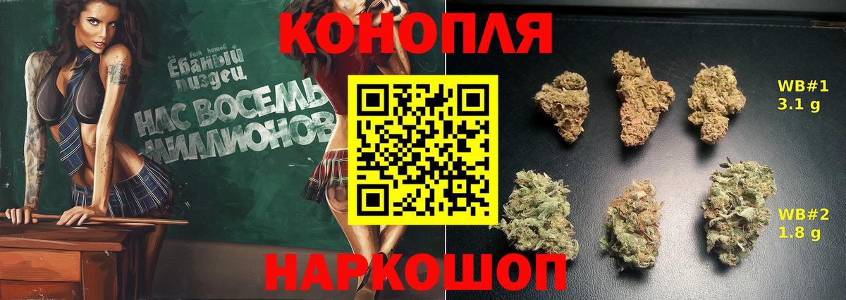Бошки Шишки планчик Дагестанские Огни
